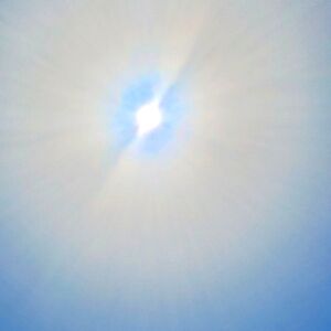 Meet your Posher, Mimi🇨🇦